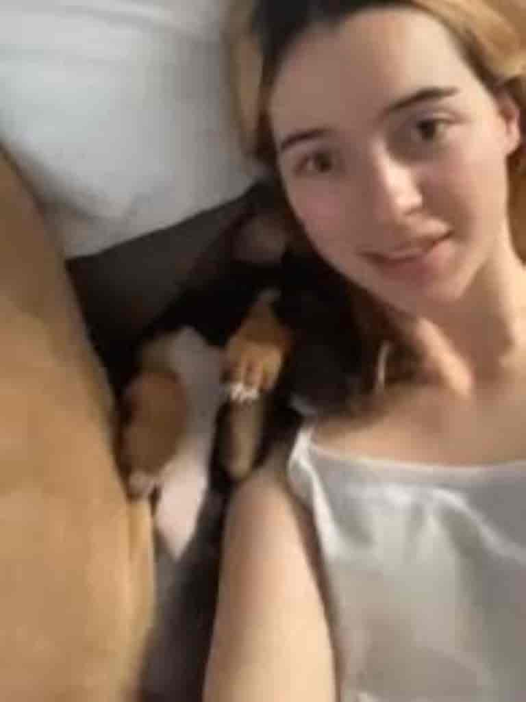 denise frazier dog video (5)